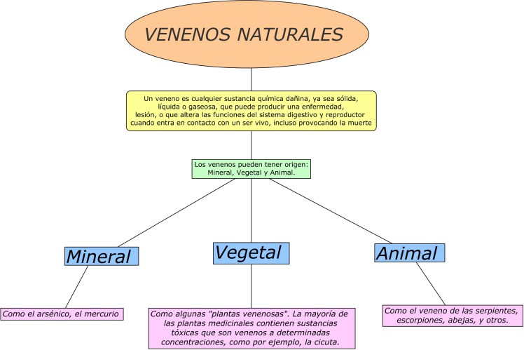 Organizador de Veneno (2).cmap.jpg