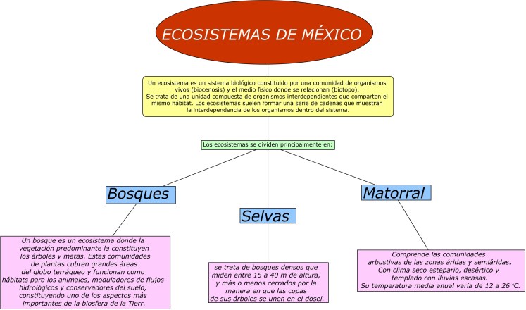 Organizador de Veneno (3).cmap.jpg