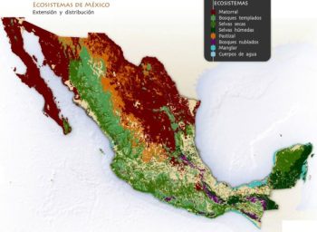 tipos-ecosistema-mexico-669x490.jpg